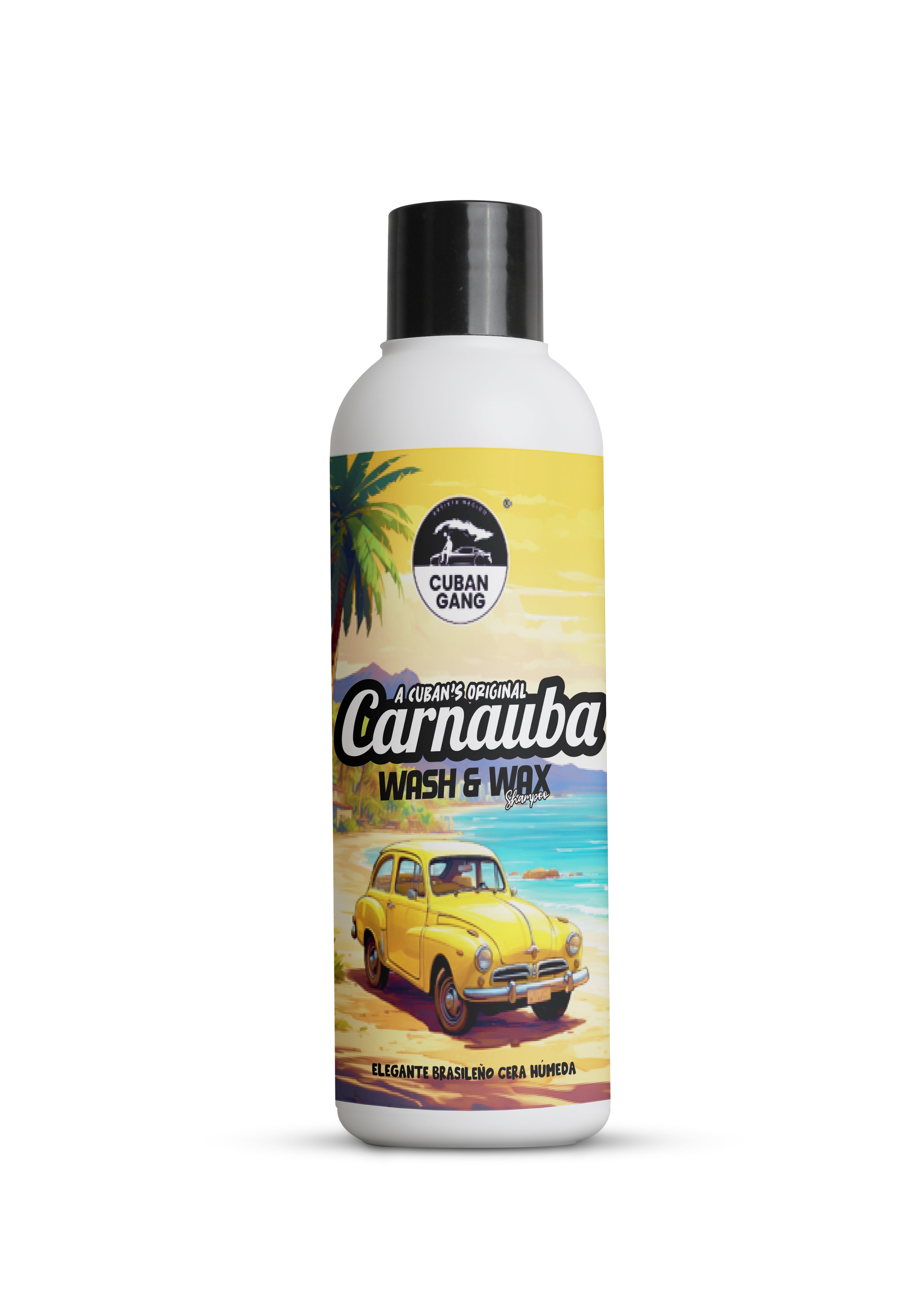 Carnauba Wash and Wax 100ml